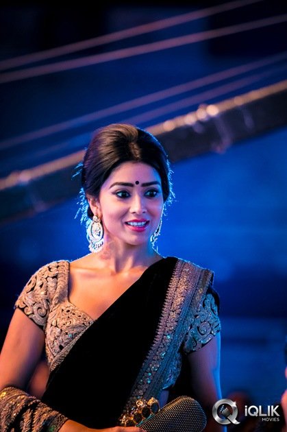 SIIMA-Awards-2014